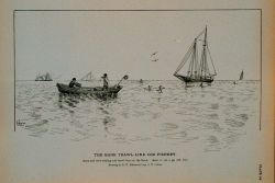 Dory and crew setting cod trawls on the Bank Drawing by H Photo