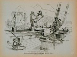 Discharging fare of George's Bank cod at Gloucester wharf Drawing by H Photo