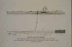 Way in which cod gill-nets are set for underrunning In Ipswich Bay, Massachusetts From Bulletin U.S Photo