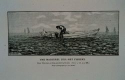 Dory fishermen picking mackerel gill-nets From photograph by T.W Image