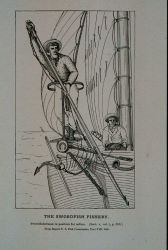 Sword fishermen in position for action From Report U Image