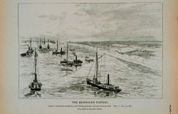 Fleet of menhaden steamers on the fishing grounds; seining crews at work From sketch by Capt Image