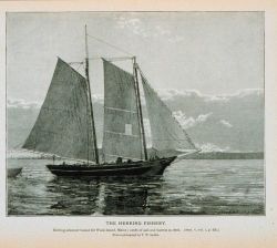 Herring schooner bound for Wood Island, Maine Outfit of salt and barrels on deck From a photograph by T Image