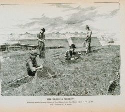 Fishermen mending herring gill-nets at House Island, Casco Bay, Maine From a photograph by T Image
