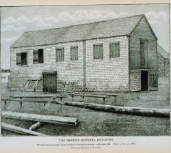 Old style herring smoke-house (without roof ventilators) at Lubec, Maine From a photograph by T Image