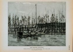 Fishing a herring weir at low tide, near Eastport, Maine From a photograph by T Image