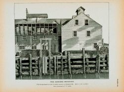 Fish drying frames on roof at sardine cannery From a photograph by T Image