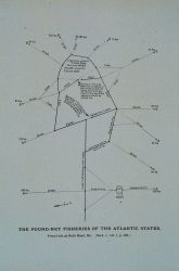 Diagram of pound-net at Bald Head, Maine By Capt Image