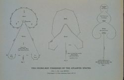 Fig Image