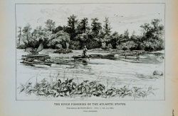 Fish-nets in the Pedee River From a photograph Image