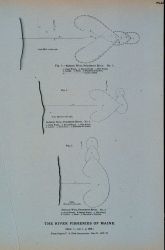 Diagram of salmon weirs in Penobscot River, Maine From Report U Image