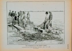 Overhauling the seine at Grassy Island Fishery, Detroit River Photograph by U Image