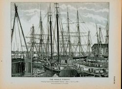 Whaling vessels fitted out at New Bedford wharves From a photograph by T Image