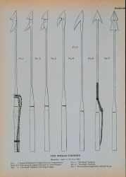 Whalemen's harpoons Image
