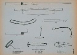 Fig Image