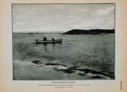 Passamaquoddy Bay Indians lancing and securing a porpoise From a photograph by T Image