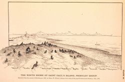 Plate 30 Image