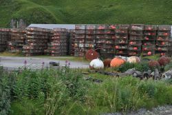 Crab traps with associated gear at Dutch Harbor. Image