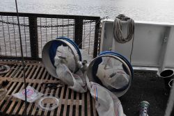 Bongo nets for plankton sampling ready for deployment on the NOAA Ship MILLER FREEMAN. Image