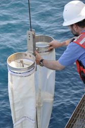 Deploying Pairovet II vertical net tow. Image
