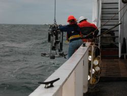 Deploying CTD (Conductivity, Temperature, Depth sensor) Image