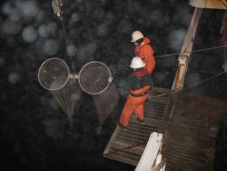 Deploying bongo nets on a rainy night. Image