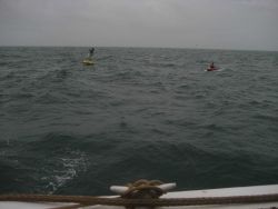 FOCI (Fisheries Oceanography Coordinated Investigations) buoy mooring operations off the NOAA Ship MILLER FREEMAN. Image