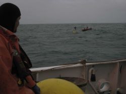 FOCI (Fisheries Oceanography Coordinated Investigations) buoy mooring operations off the NOAA Ship MILLER FREEMAN. Image