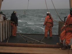 FOCI (Fisheries Oceanography Coordinated Investigations) buoy mooring operations off the NOAA Ship MILLER FREEMAN. Image