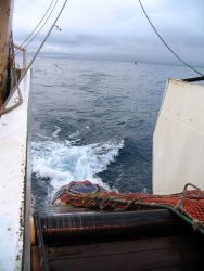 Pulling the net in. Image