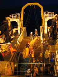 Preparing the gill nets for deployment. Image