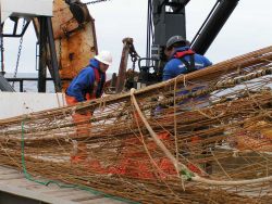 Hooking up the Wesmar acoustic sensor on the net prior to deploying. Image