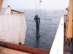 Midwater trawl bringing up small catch Image