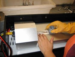 Measuring fish. Image