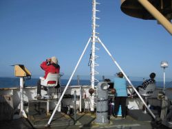 Sea bird and marine mammal observers on the flying bridge of the NOAA Ship MILLER FREEMAN. Image