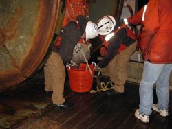 Emptying the cod end of a trawl into a small sorting basket. Image