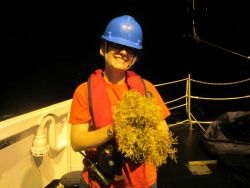 Emilisa Saunders prior to sorting sargassum weed for the many possible life forms that can be found associated with this floating algae. Image
