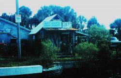 Wackie Jackie's Bait House, serving the sport fishermen south of Hernando Beach This is an old time bait and tackle shop. Image