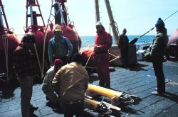 Preparing current meters to secure to tethered mooring during Gulf Stream eddy studies from the NOAA Ship ALBATROSS IV. Image