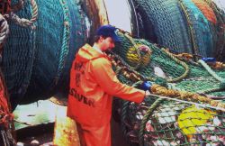 A National Marine Fisheries Service observer checks the dimensions of a net and its catch. Image