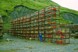 A large stack of commercial king crab pots observed at Kodiak. Image