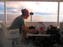 McGuire entering sighting info on Pacific Islands Science Center cetacean abundance survey aboard the NOAA ship Oscar Elton Sette. Image