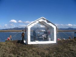 Columbia River Estuary seine sampling for juvenile Chinook salmon for mark- recapture to evaluate residency time Image