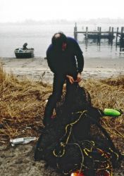 Mark Myers (NOAA Fisheries, NWFSC) is mending a trawl net used to collect winter flounder for chemical analyses Image
