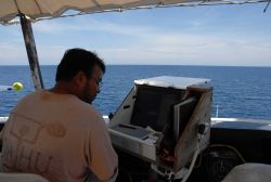 A member of the scientific party enterin marine mammal sighting data into a database while observing from the bridge wing of the NOAA Ship DAVID STARR Image