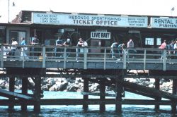 California pier angling. Image