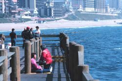 California pier angling. Image