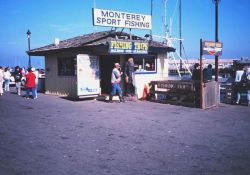 A bait and tackle shop at a charter fishing boat landing. Image