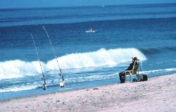 Angler surf fishing on beach. Image