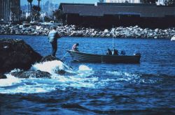 Angler fishing on breakwater. Image